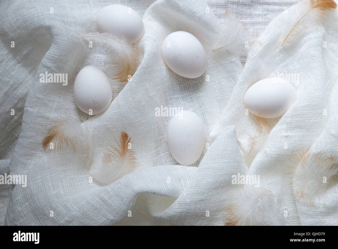 Eiern und Federn auf weißen Baumwolltuch Stockfoto