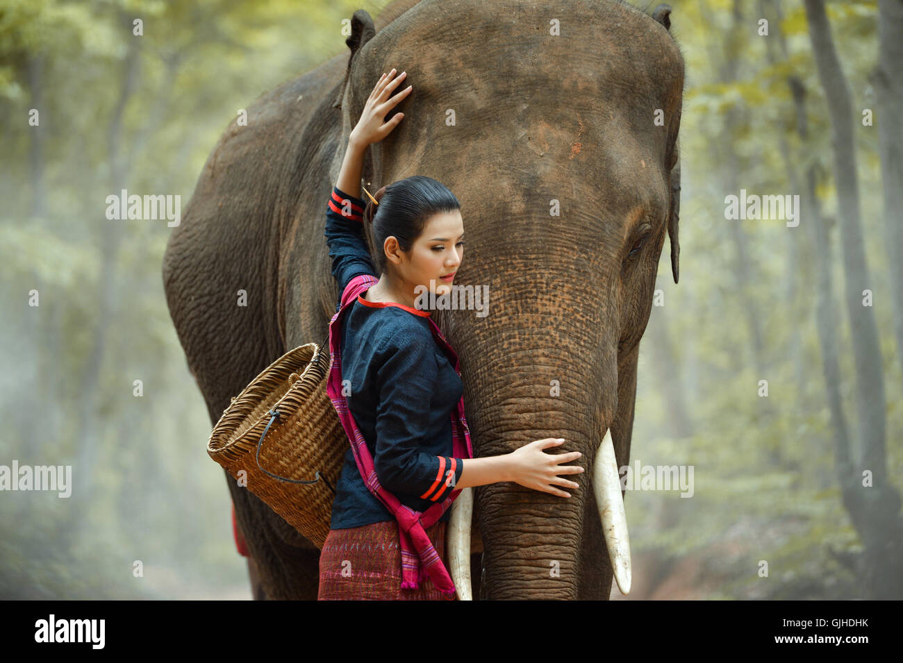 Frau stehend mit Elefanten im Wald, Thailand Stockfoto