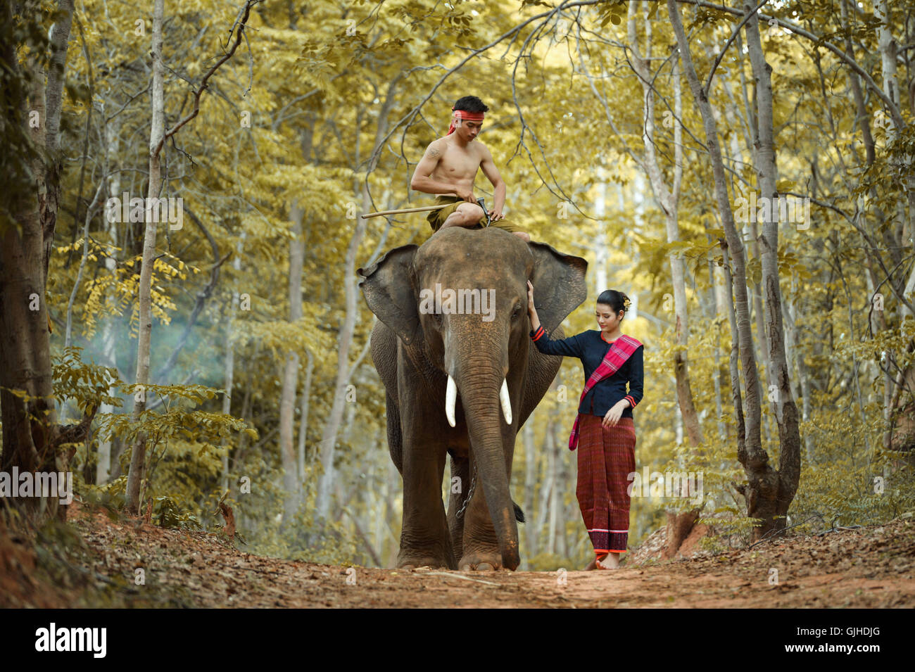 Frau und Mann zu Fuß mit Elefanten, Thailand Stockfoto