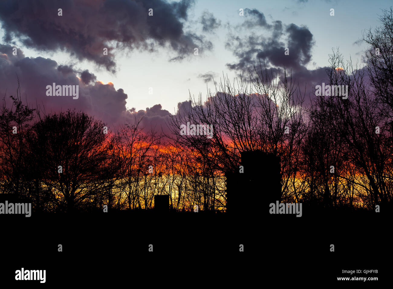 Silhouette der Bäume bei Sonnenuntergang Stockfoto