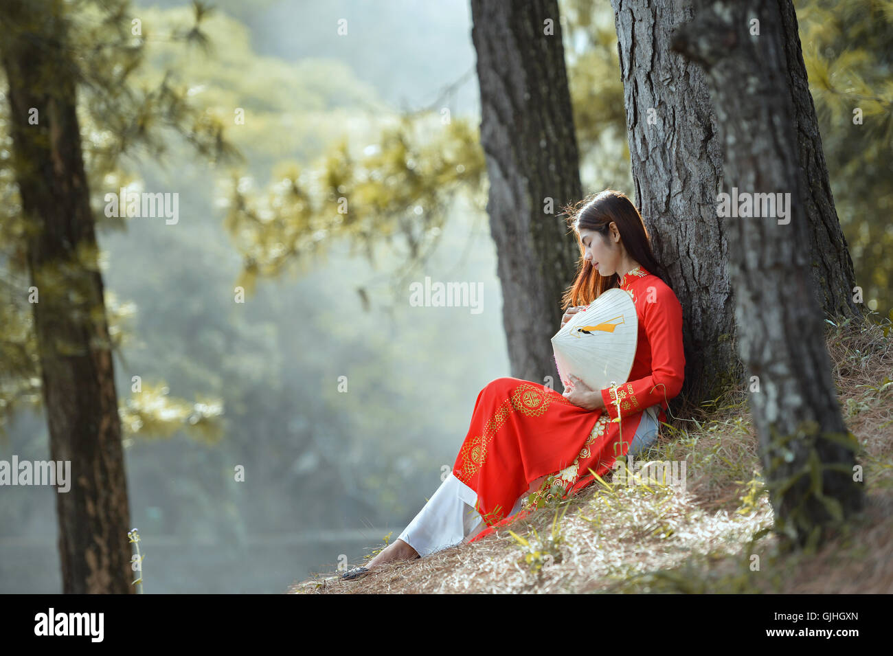 Frau in traditioneller Kleidung schiefe gegen einen Baum, Hoi an, Vietnam Stockfoto