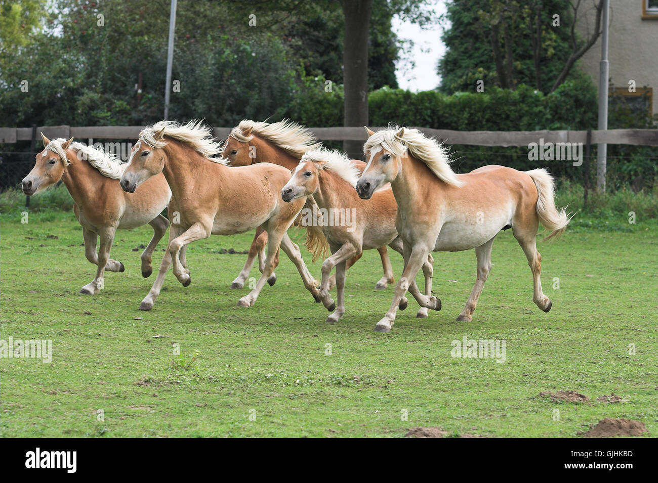 Zusammenhalt Stockfoto