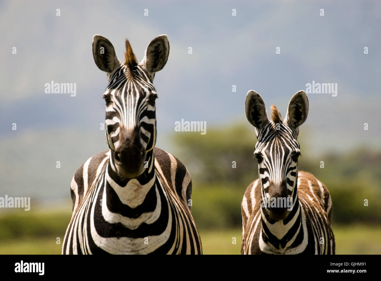 Urlaub Urlaub Ferien Stockfoto