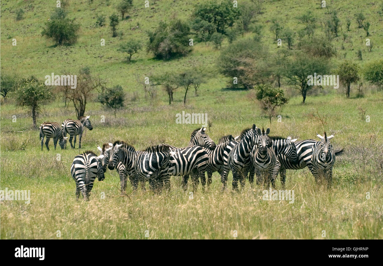 Urlaub Urlaub Ferien Stockfoto