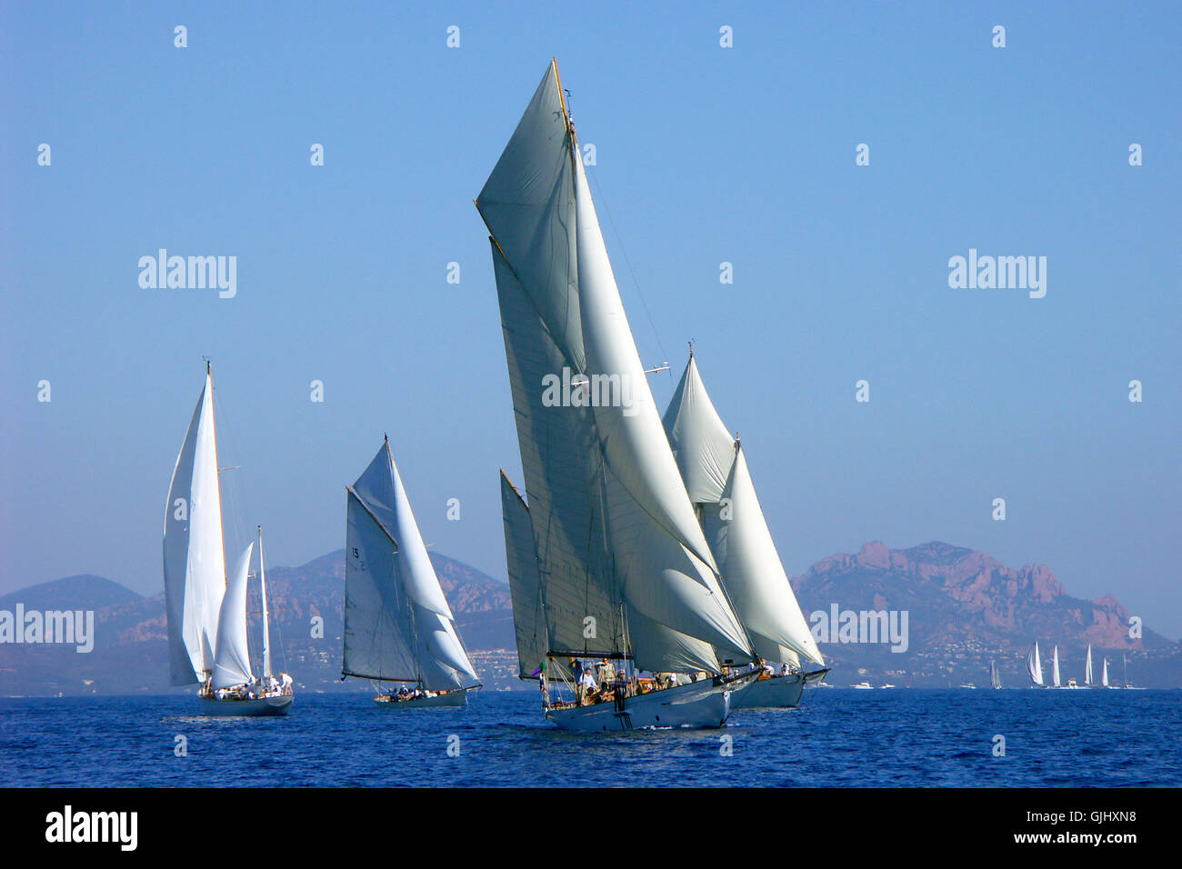 Les Voiles de St.Tropez Stockfoto