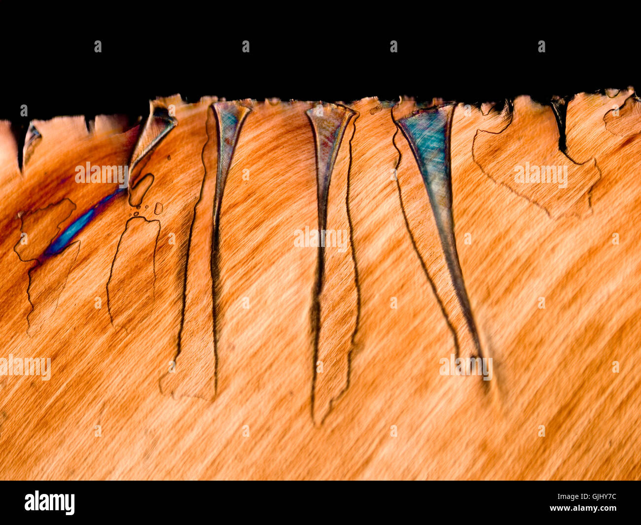 synthetisches Material Kunststofffolie Stockfoto
