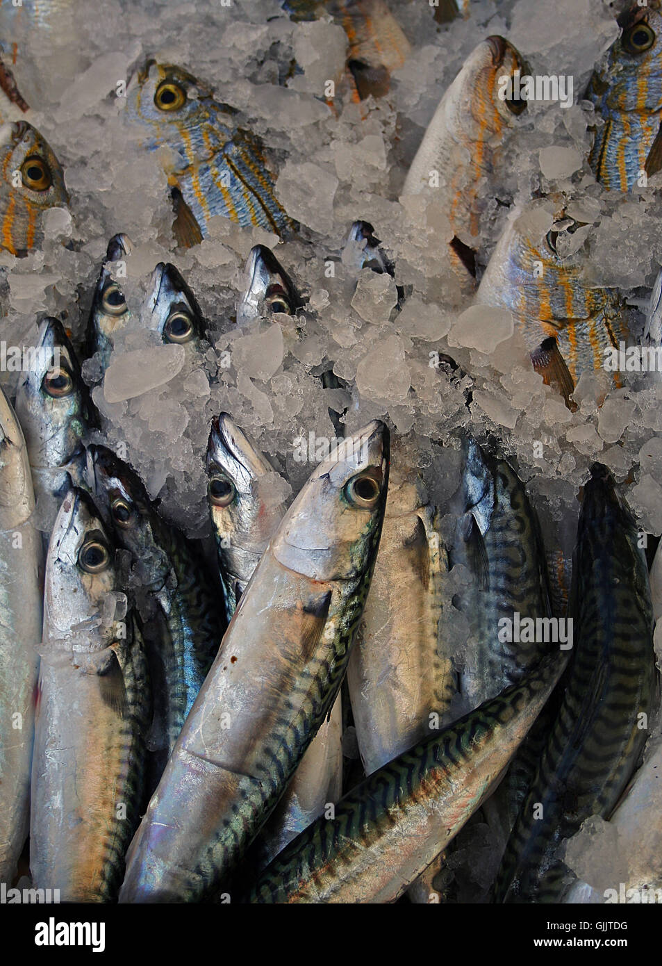 wöchentlichen Fischmarkt Fischmarkt Stockfoto