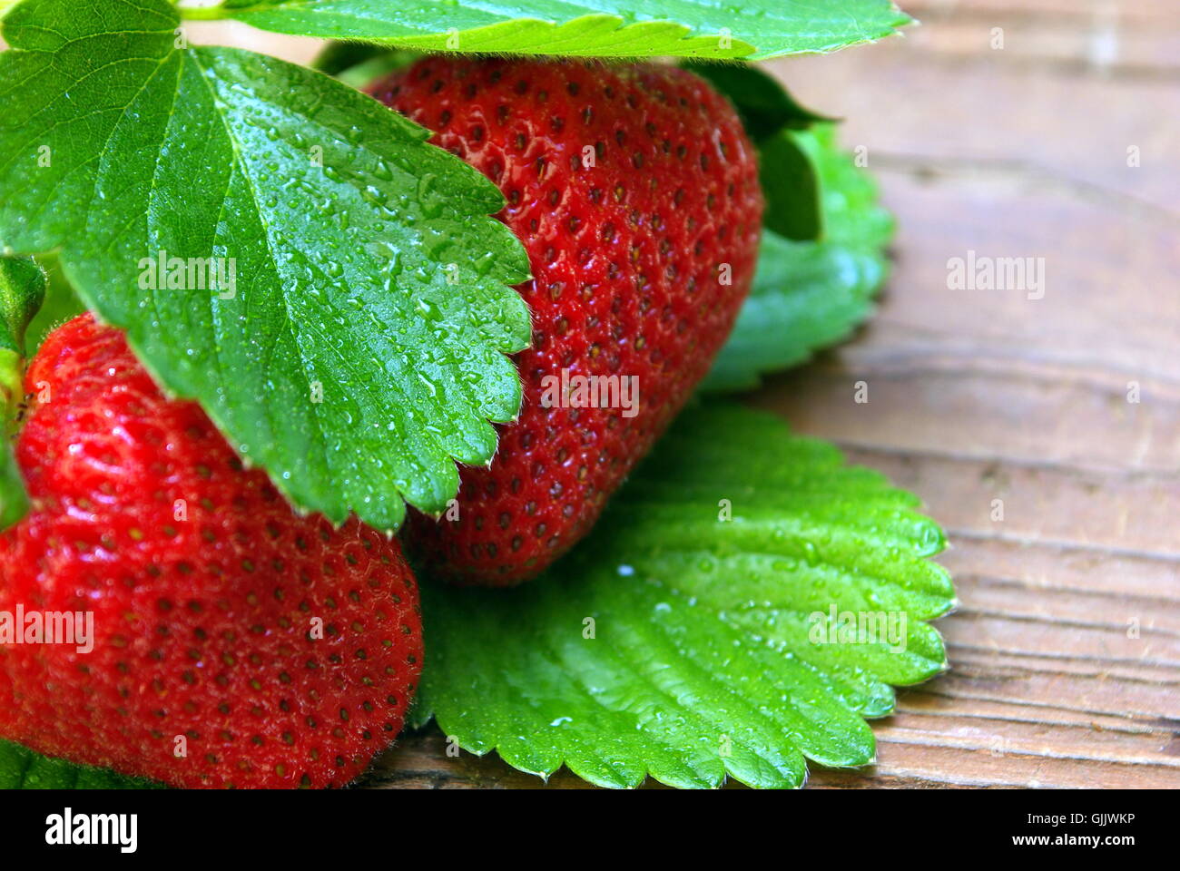 Erdbeere Frucht Beere Stockfoto
