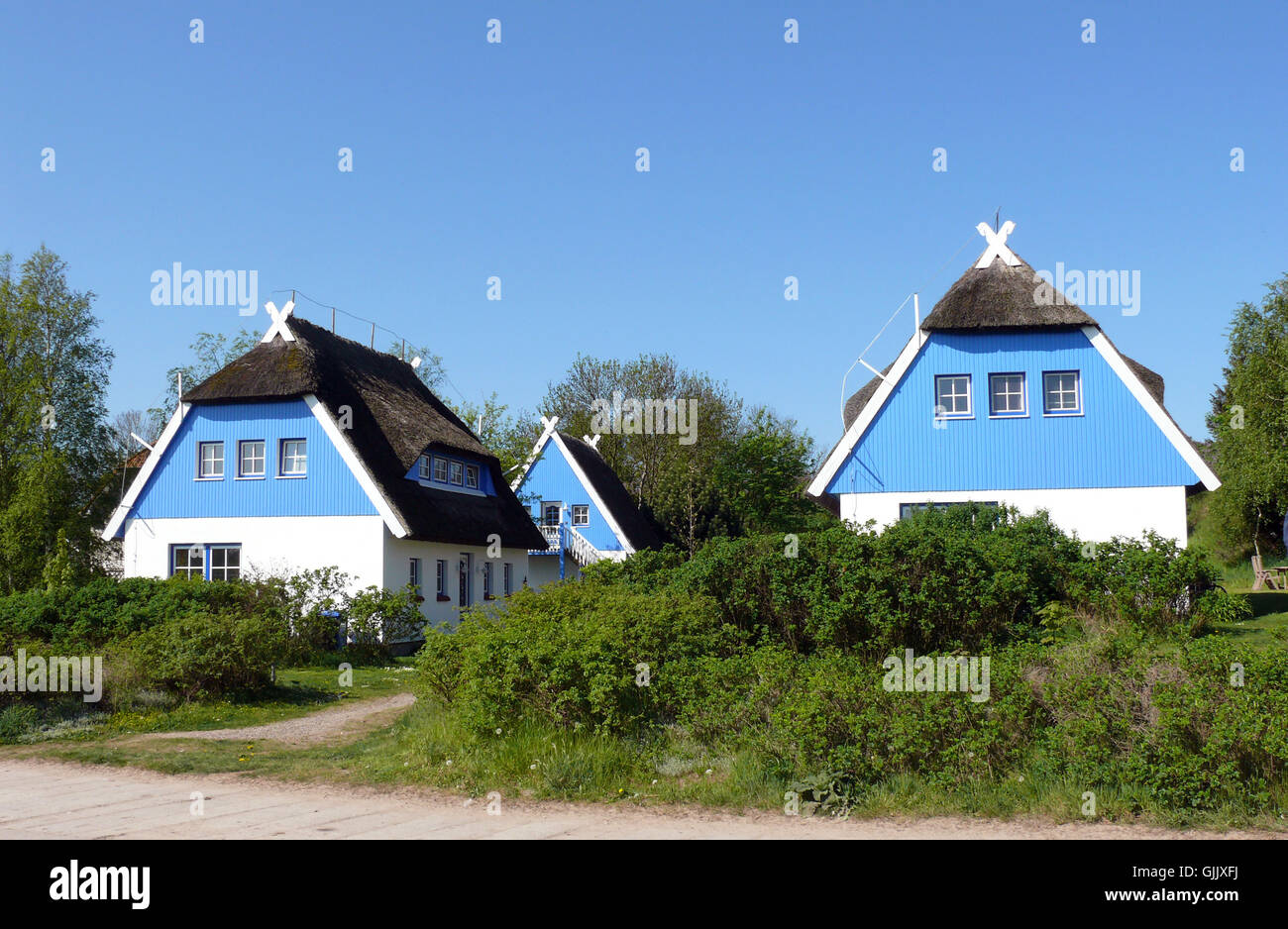 blaue Häuser grün Stockfoto