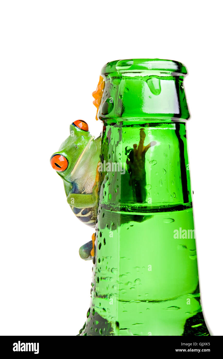 Trinken trinkende Lätzchen Stockfoto