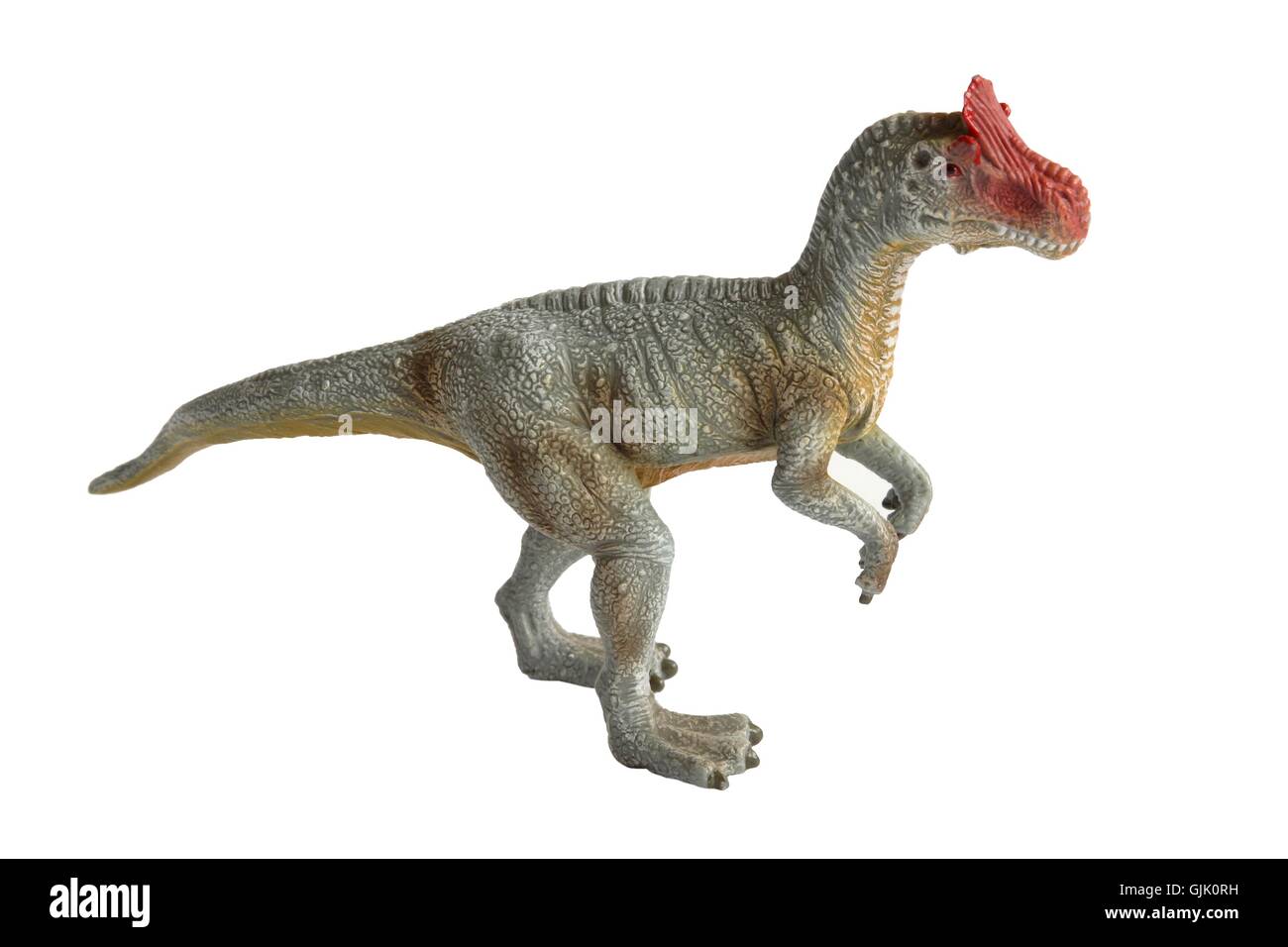 Dinosaurier-Foto-Modell Stockfoto