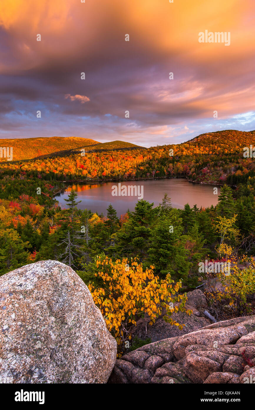 Die Schale umgeben von Fallfarbe mit Cadillac Mountain im Hintergrund bei Sonnenaufgang im Acadia National Park, Maine. Stockfoto