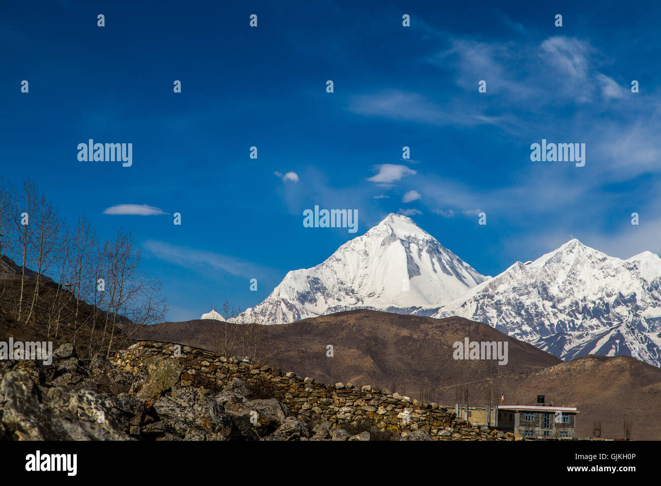 Nepal, Dhaulagiri, Tukuche Stockfoto