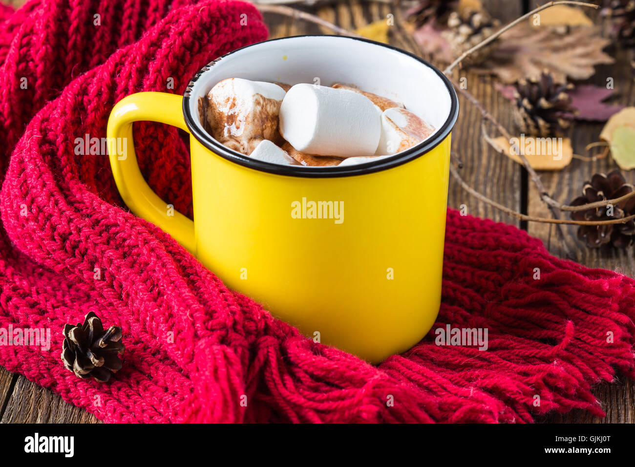 Becher voll heißer Schokolade mit Marshmallow am ein gestrickter Schal. Wärmendes Getränk für Herbst und winter Stockfoto