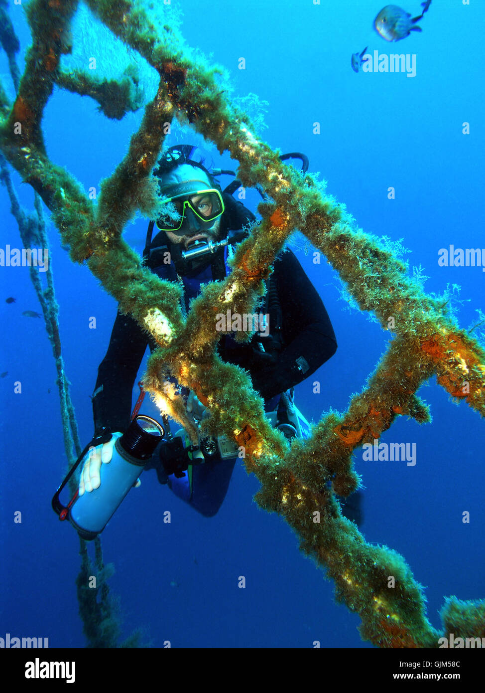 Unterwasser Wrack Leiter Stockfoto