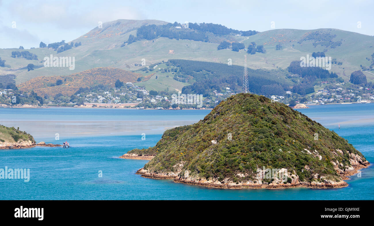 Das Panorama der Vororte in Dunedin (Neuseeland). Stockfoto