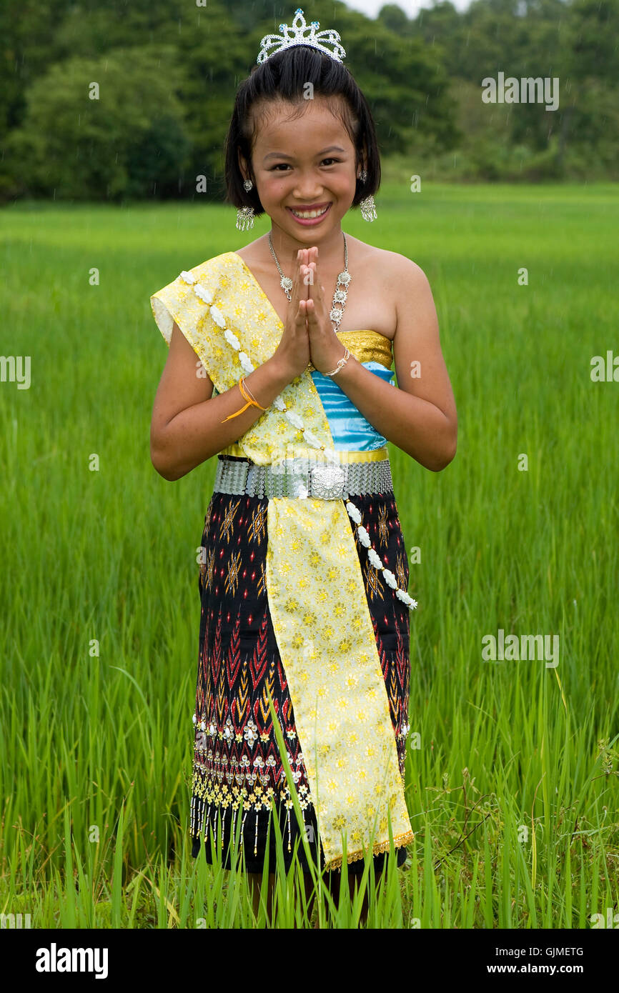 Asien-Thailand-Reisfeld Stockfoto