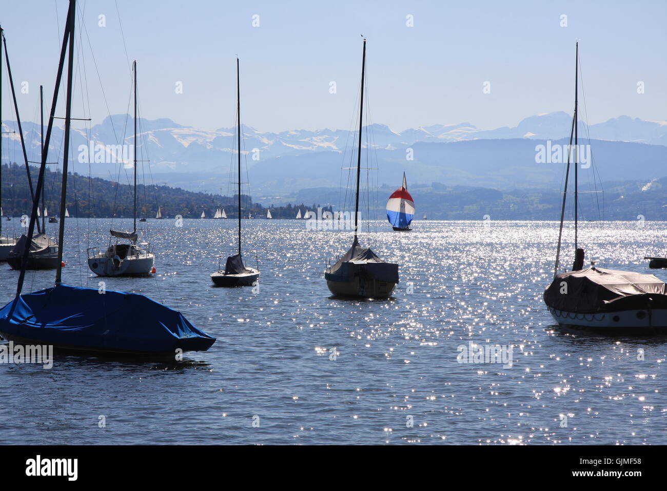 Zürichsee schiff -Fotos und -Bildmaterial in hoher Auflösung – Alamy