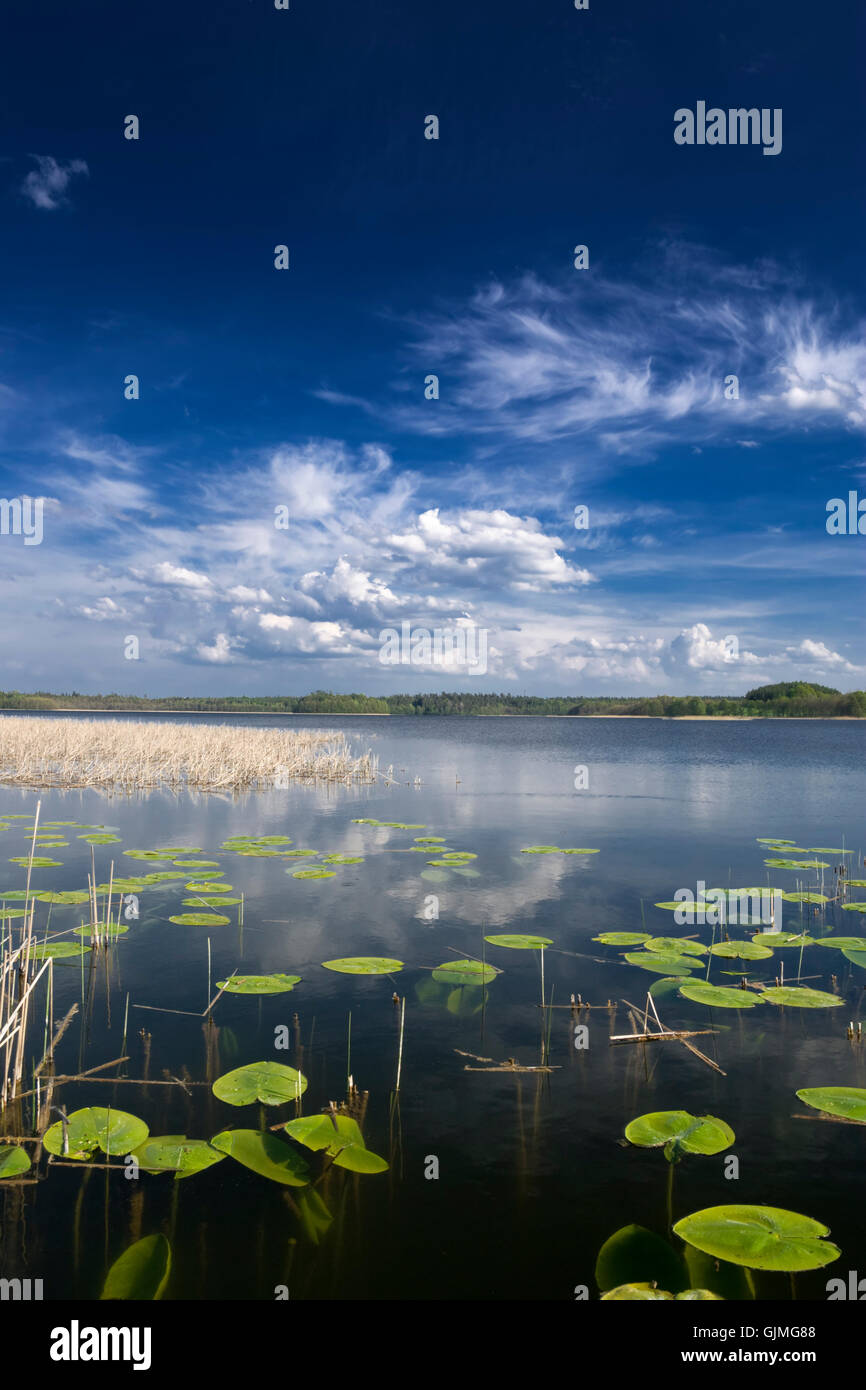 Frischwasser See Binnengewässer Stockfoto