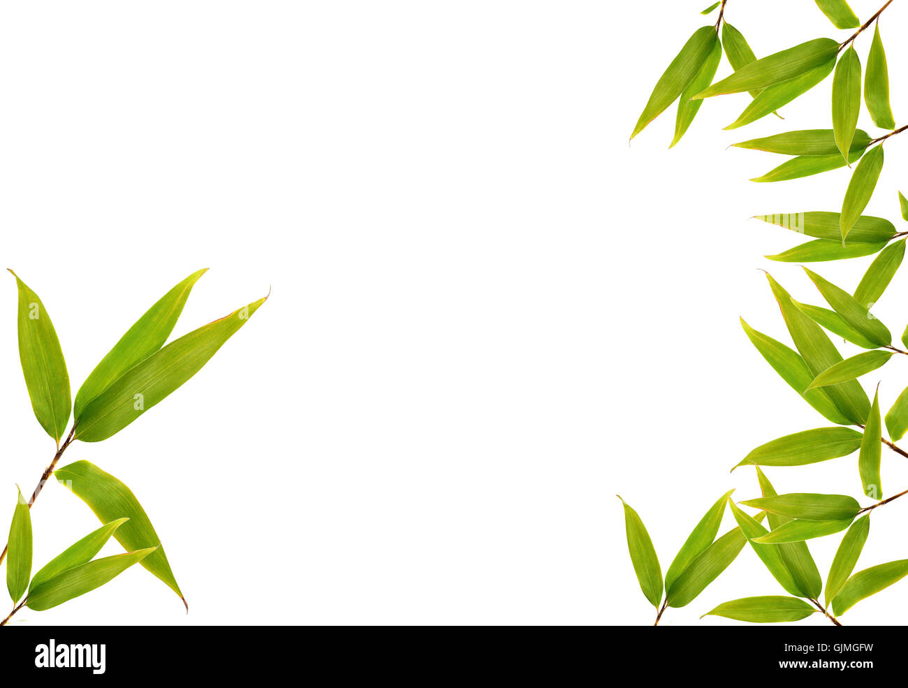 grüne Foto Zusammensetzung Bambus Stockfoto