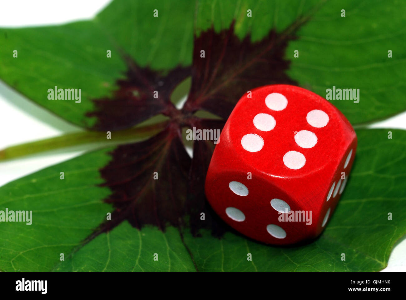 Grüne Würfel sechs Stockfoto