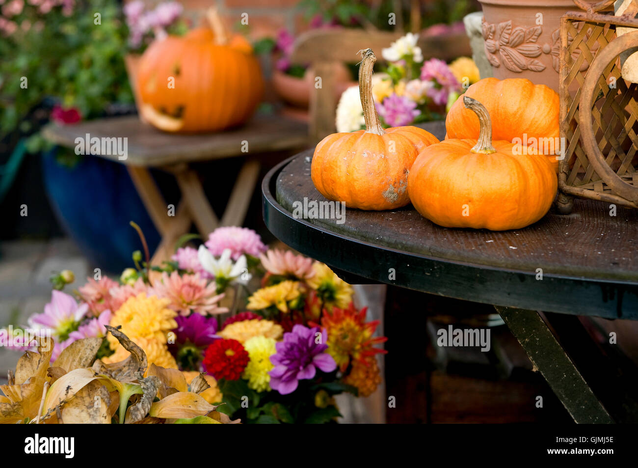 Herbstdeko Stockfoto