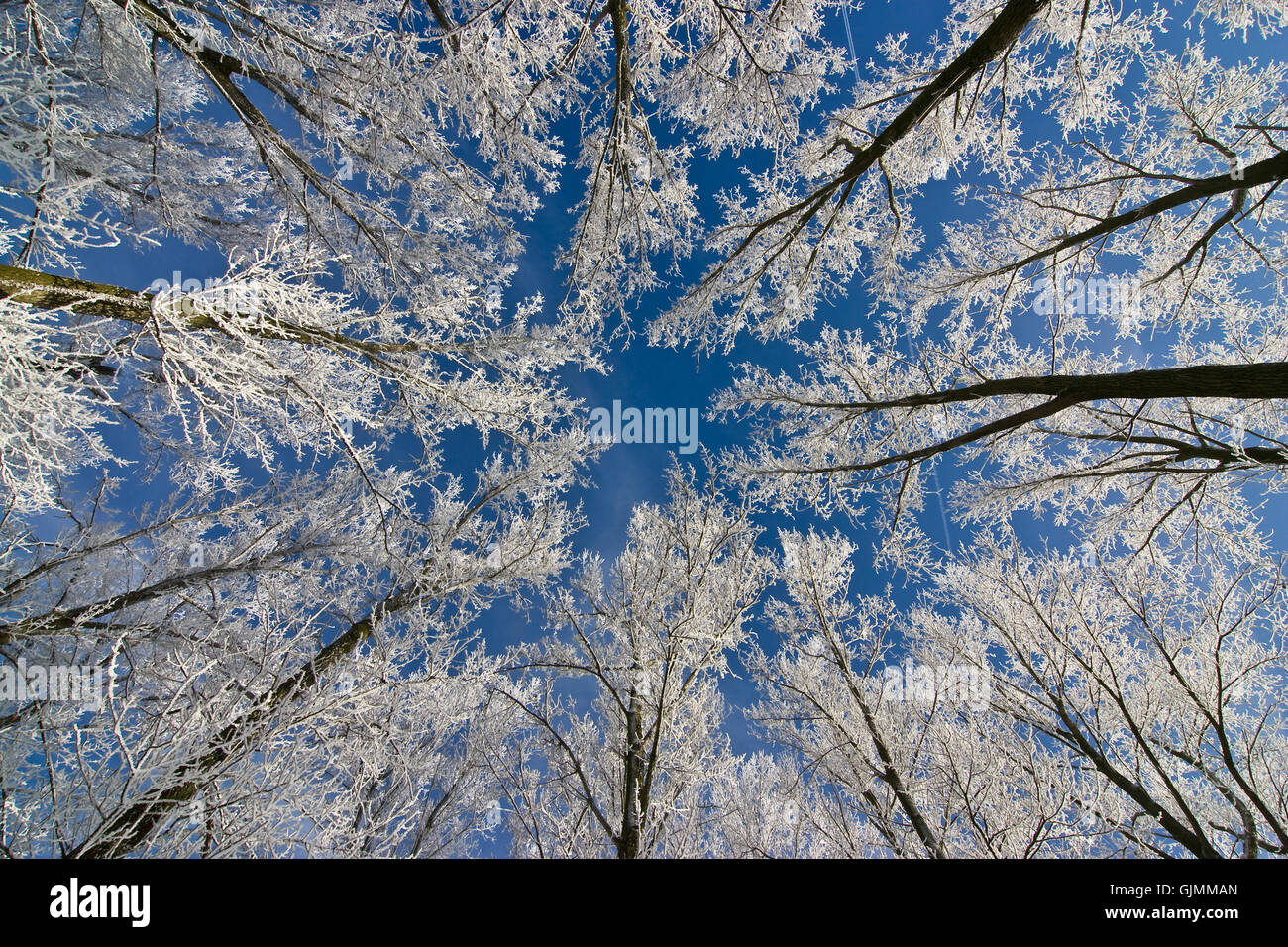 ein Wintermärchen Stockfoto