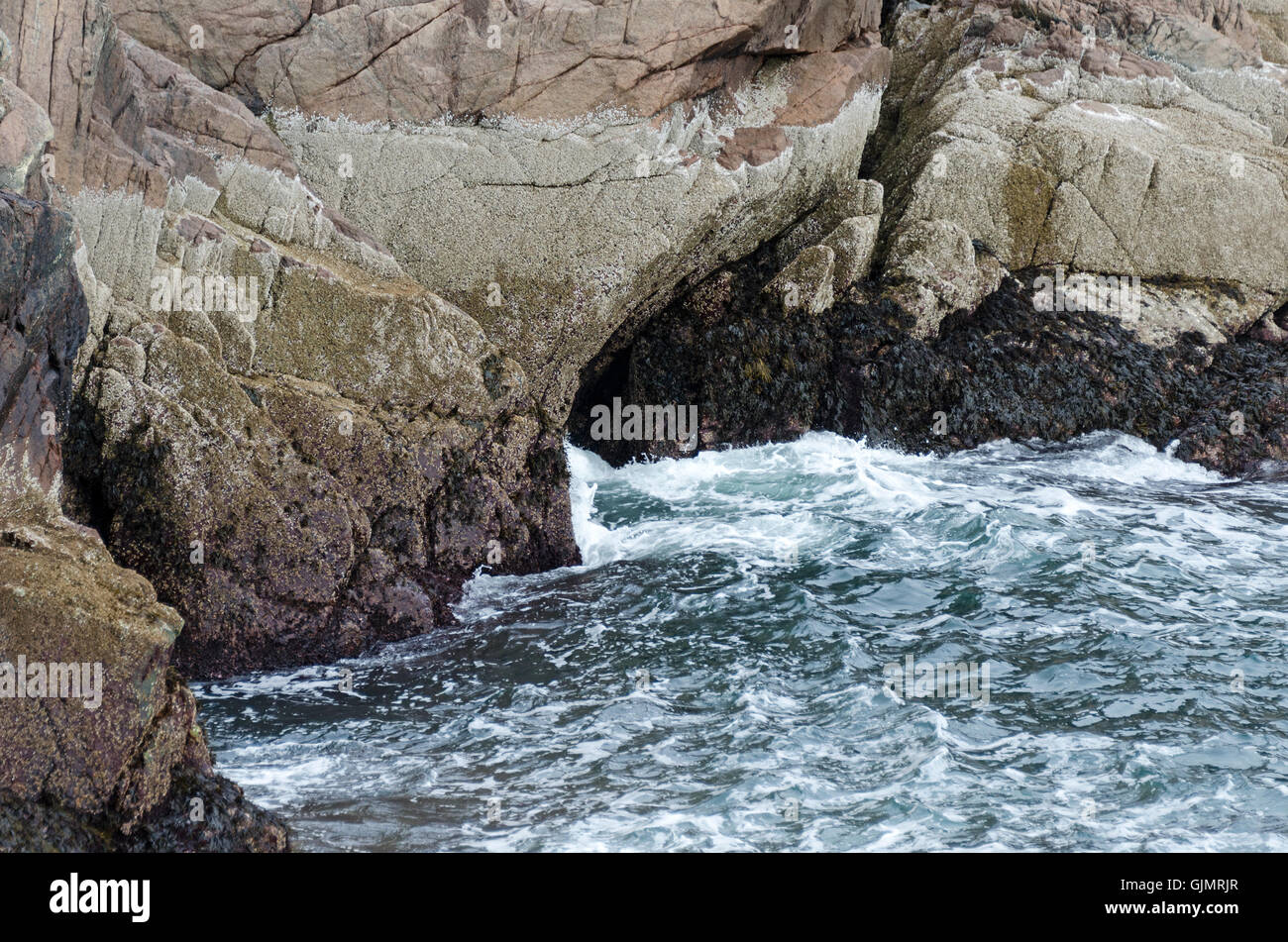 Bands von Seepocken und Rockweed umgeben eine Meereshöhle in Klippen, Mount Desert Island, Maine. Stockfoto
