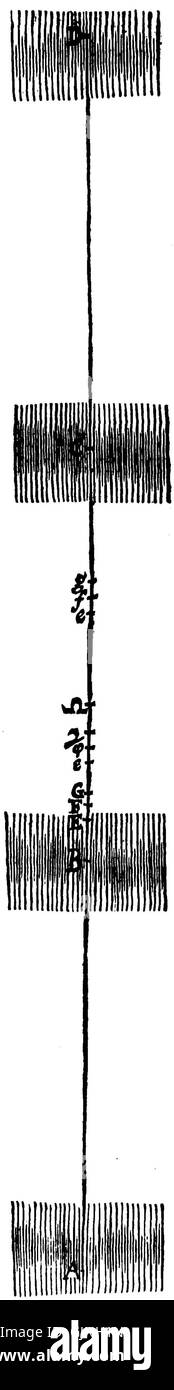 Principia, erstmals 1686 von Isaac Newton veröffentlicht, ist ein Grundlagenwerk der Physik, das den Grundstein für die klassische Mechanik legt. Seine Prinzipien revolutionierten das wissenschaftliche Verständnis von Bewegung und Schwerkraft. Stockfoto