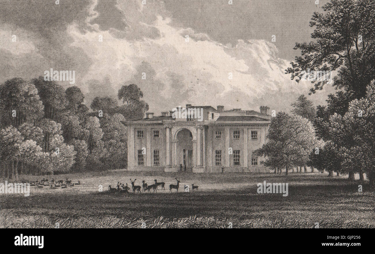 Eastwell/Gutspark, Ashford, Kent. Der Sitz des Herrn Winchilsea. SCHÄFER, 1829 Stockfoto