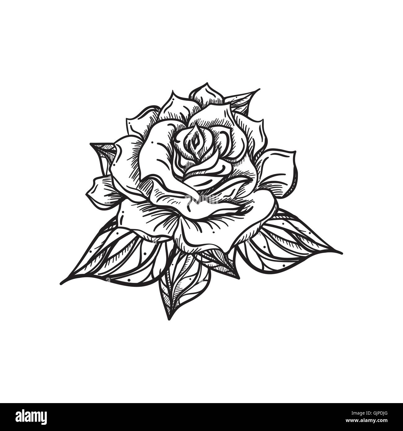 Handgezeichnete Hochzeit Rose. Blume Vorlage für Feier, Hochzeit, Urlaub.  Rose für Print und digitale Kunst, Tattoo. Vektor Stock-Vektorgrafik - Alamy
