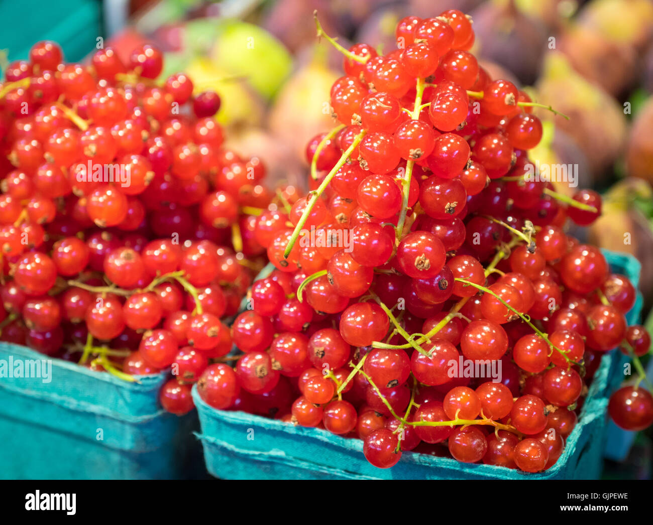 Rote Johannisbeeren (rote Johannisbeeren) zum Verkauf an Granville Island Public Market in Vancouver, British Columbia, Kanada. Stockfoto