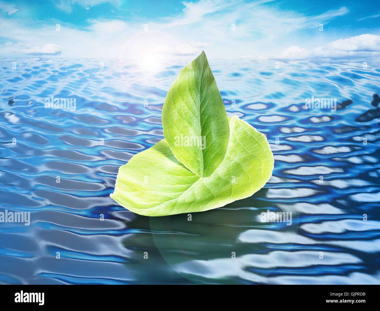 Grüne Blätter bilden ein Schiff schwimmt auf Meereshöhe. 3D Illustration. Stockfoto