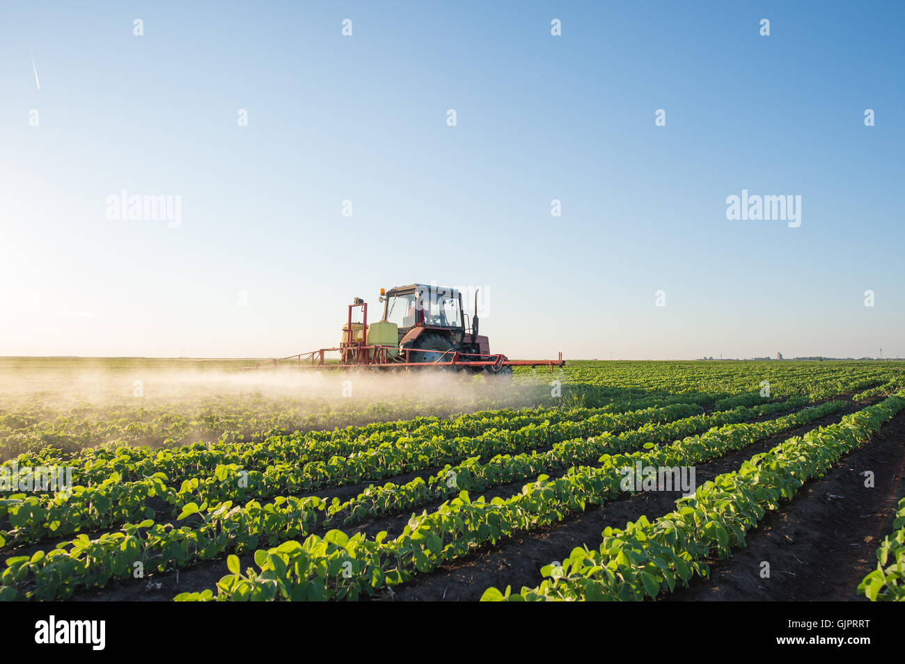 Traktor Spritzen Soja Feld im Frühjahr Stockfoto