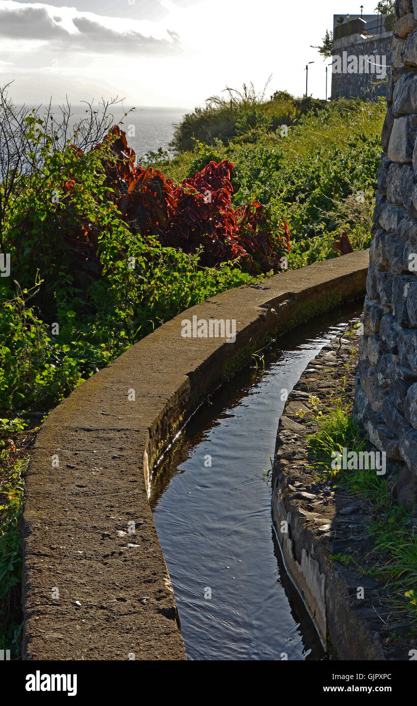 Levada Bewässerungskanal mit vergangenen Fußweg befindet sich am Stadtrand von Funchal, Madeira, Portugal Stockfoto