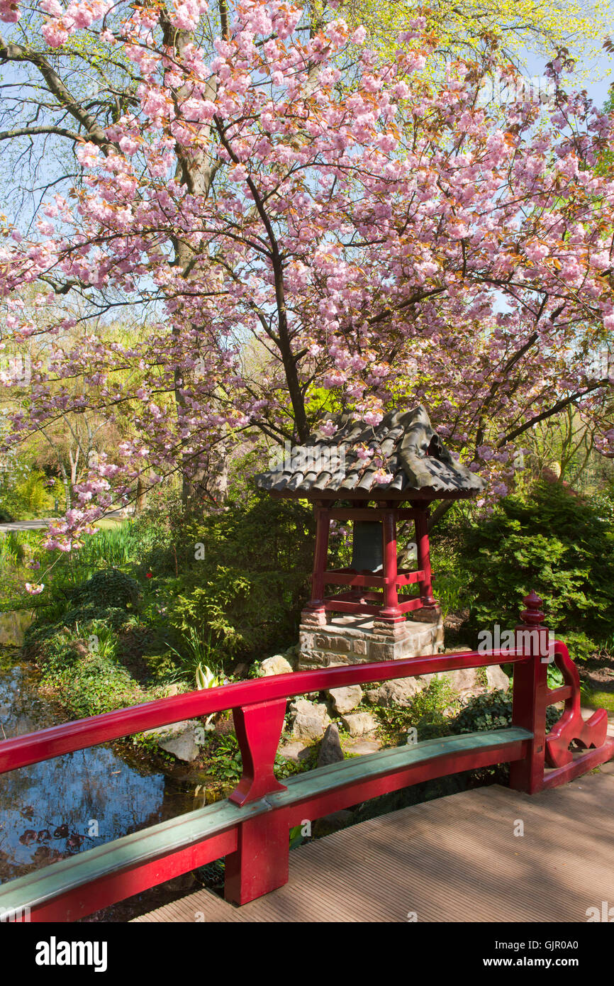 Japanese Garden Leverkusen Germany Stockfotos und bilder Kaufen Alamy