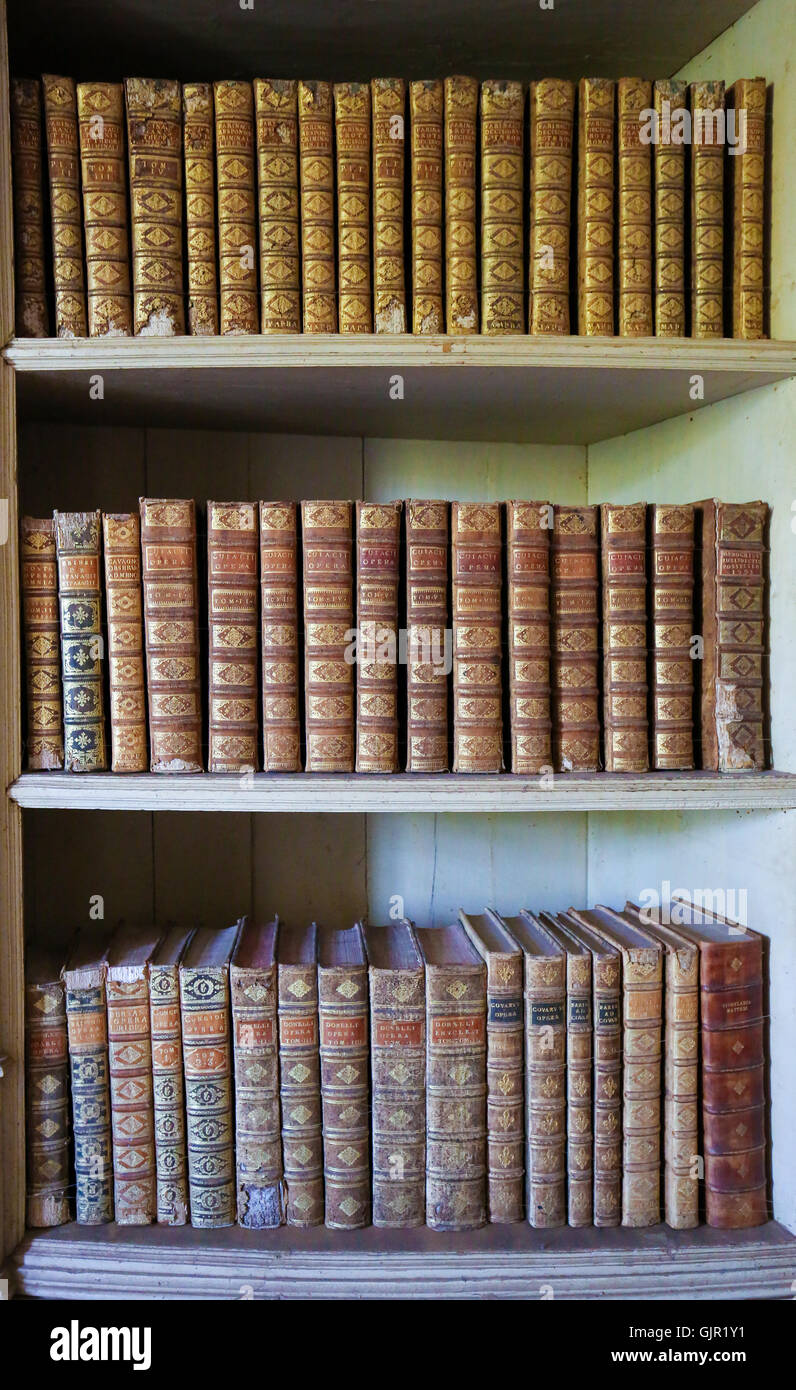 MAFRA, PORTUGAL - 17. Juli 2016: Alte Bücher in der Bibliothek des Palastes von Mafra, Portugal Stockfoto