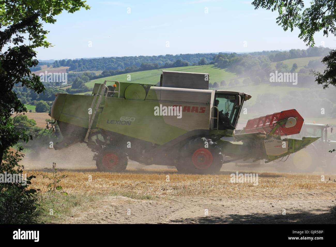 Weizen wird in der Nähe von Aldbourne in Wiltshire während eines längeren sonnigen Zaubers geerntet. UK Stockfoto