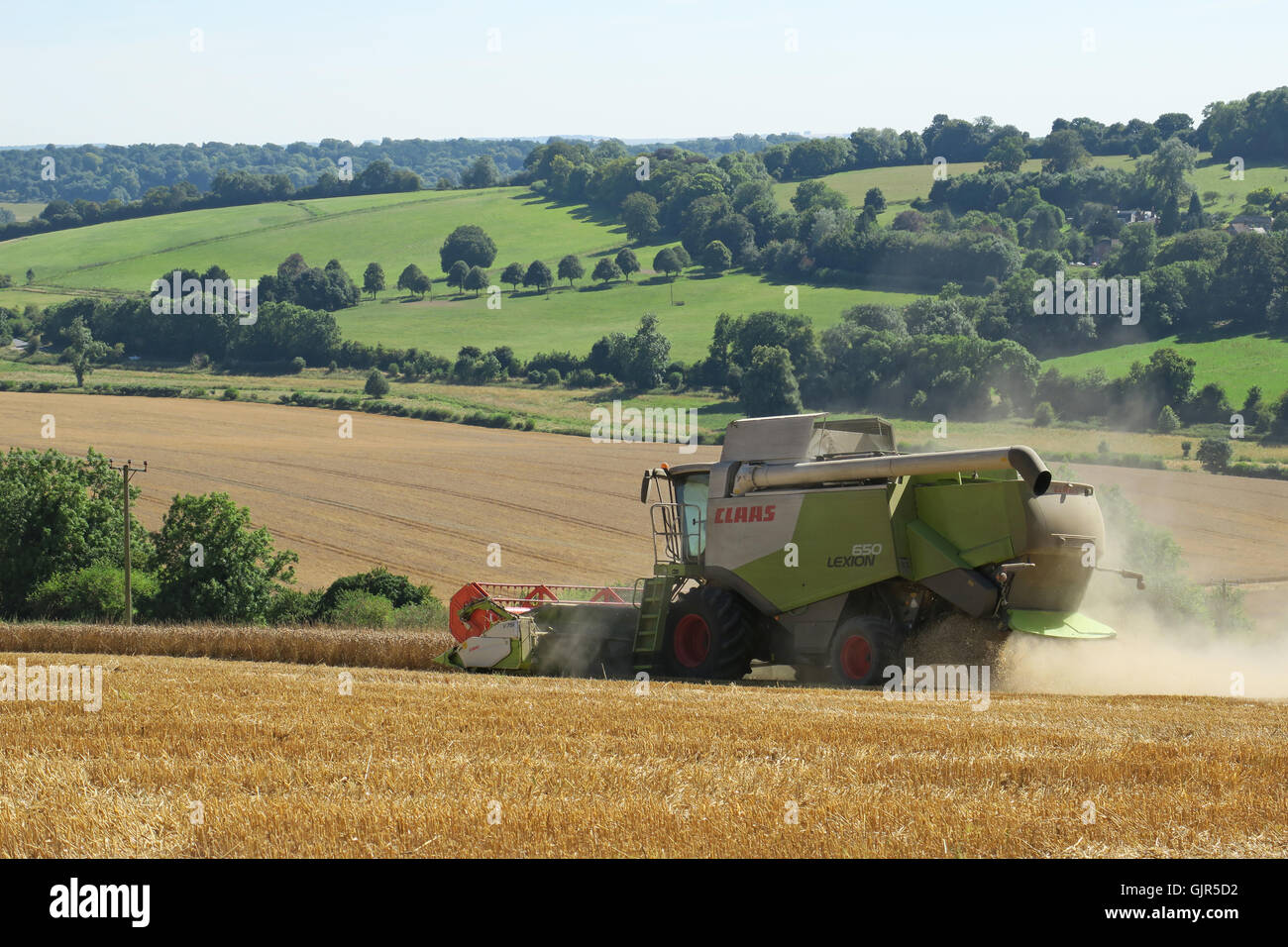 Weizen wird in der Nähe von Aldbourne in Wiltshire während eines längeren sonnigen Zaubers geerntet. UK Stockfoto
