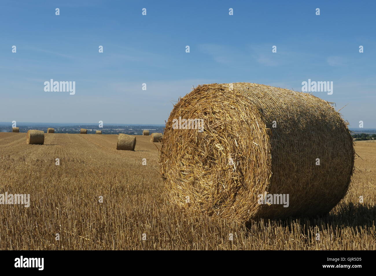 Ballen Weizenstroh verstreut über ein Feld, das vor kurzem auf Liddington Hügel, Wiltshire geerntet worden ist. VEREINIGTES KÖNIGREICH. Stockfoto