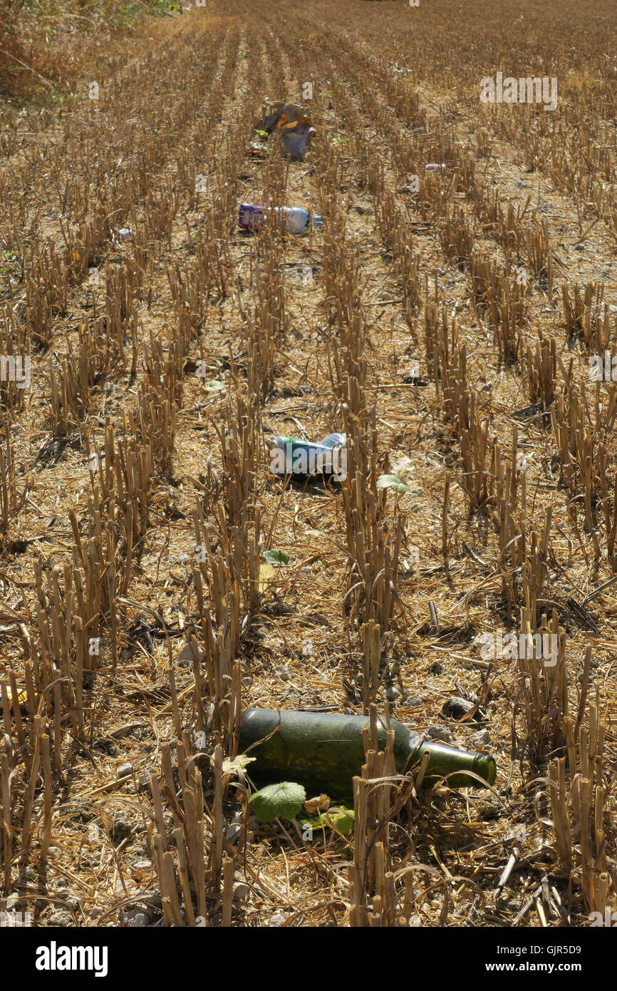 Müll geworfen von einer nahe gelegenen Straße zeigt sich, wenn der Weizen aus diesem Bereich auf Liddington Hügel, Wiltshire geerntet wurde. Stockfoto