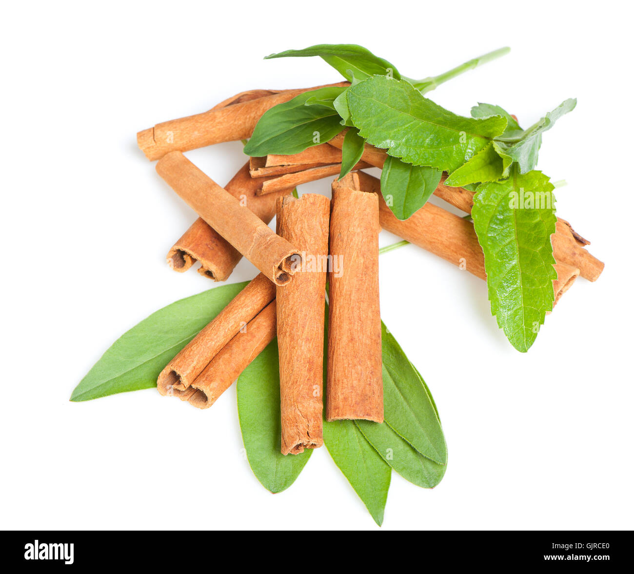 Zimt und grünen Blättern Stockfoto