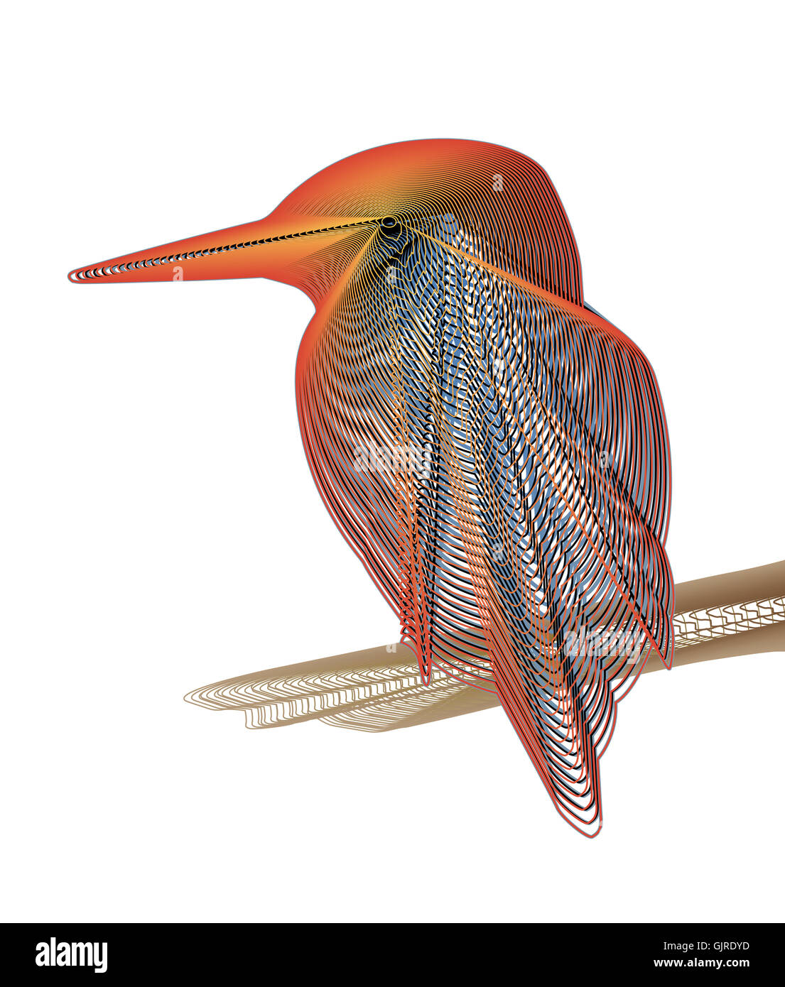 Illustration Design einen bunten Eisvogel ausgekleidet Stockfoto