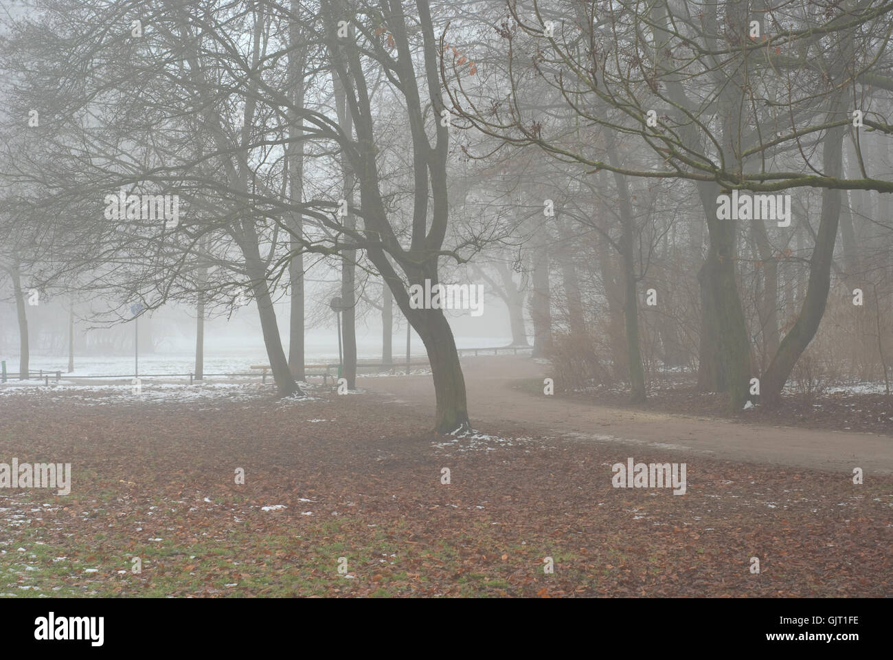 Winterlandschaft-Nebel Stockfoto
