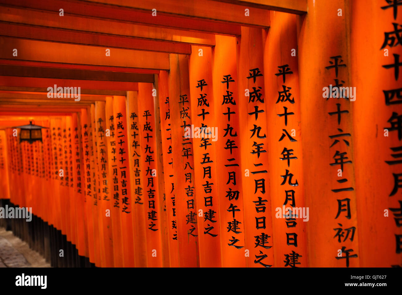 japanische Torii Übergang Stockfoto