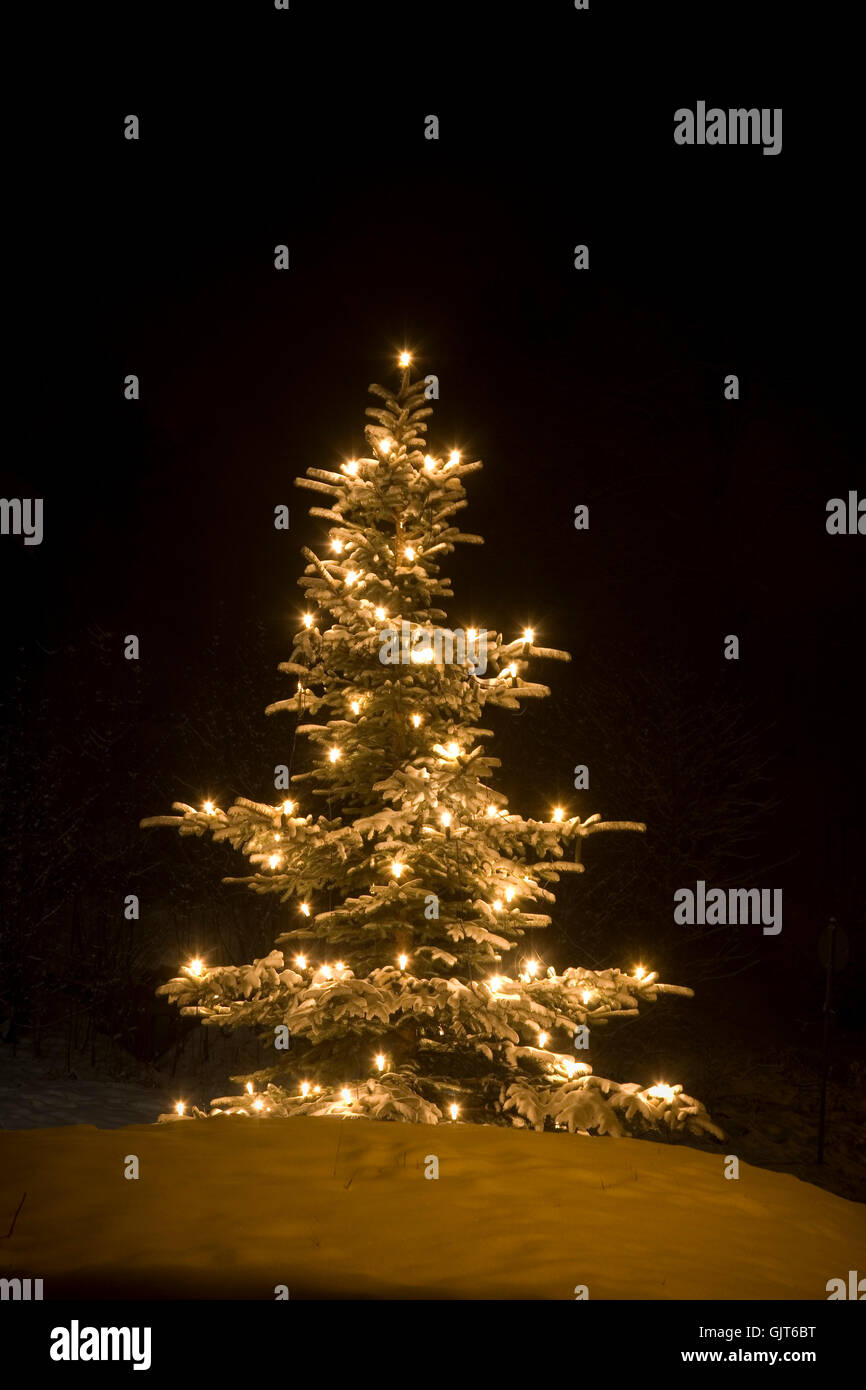 Weihnachtsbaum mit Lichtern Stockfoto