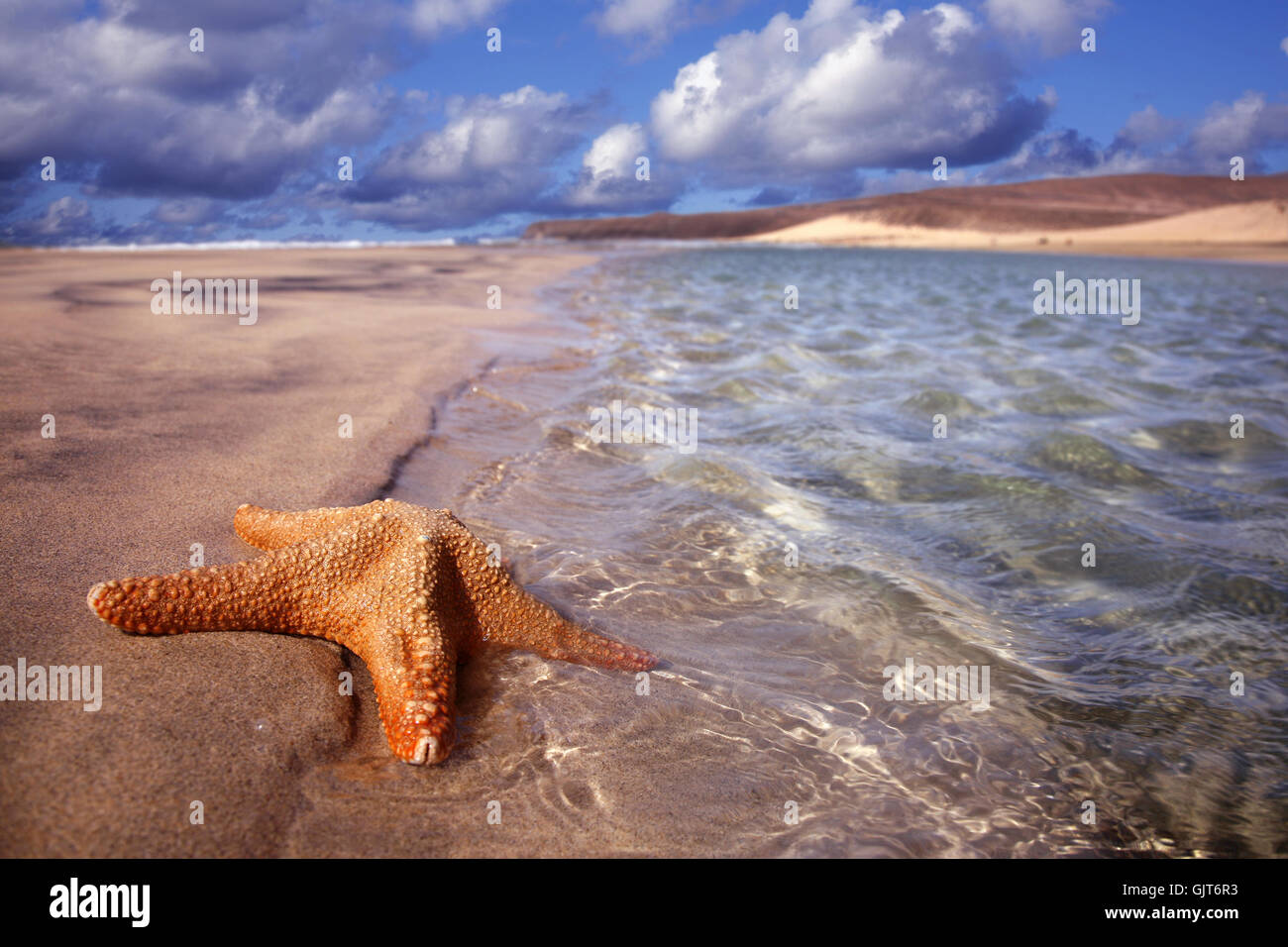 Urlaub Urlaub Ferien Stockfoto