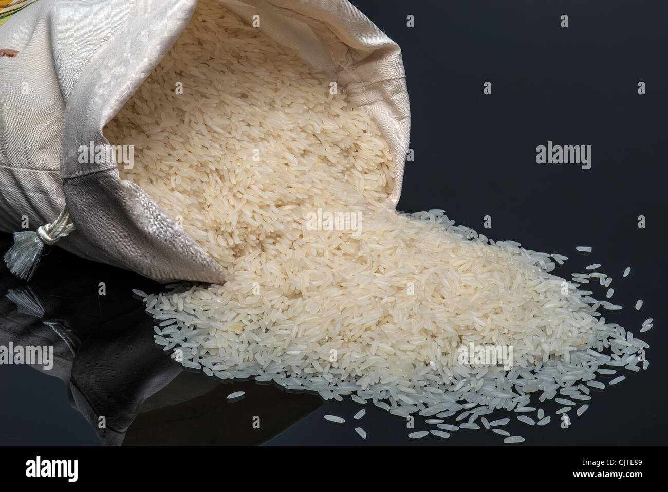 Weisser Jasmin Reis auf schwarzem Hintergrund Stockfoto