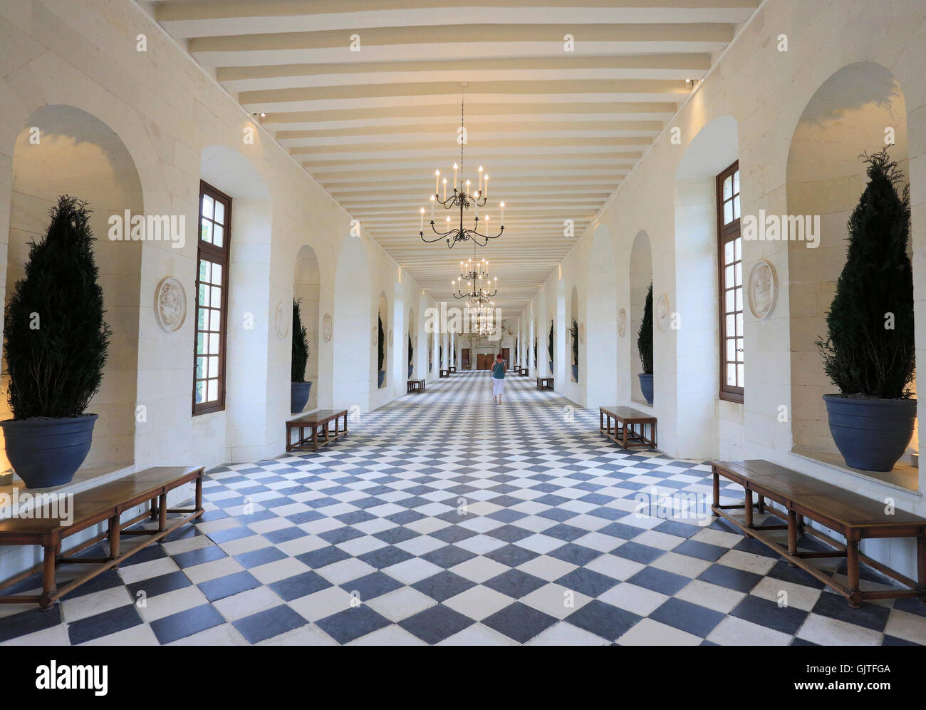 Das Chateau de Chenonceau, Ballsaal, Frankreich Stockfoto