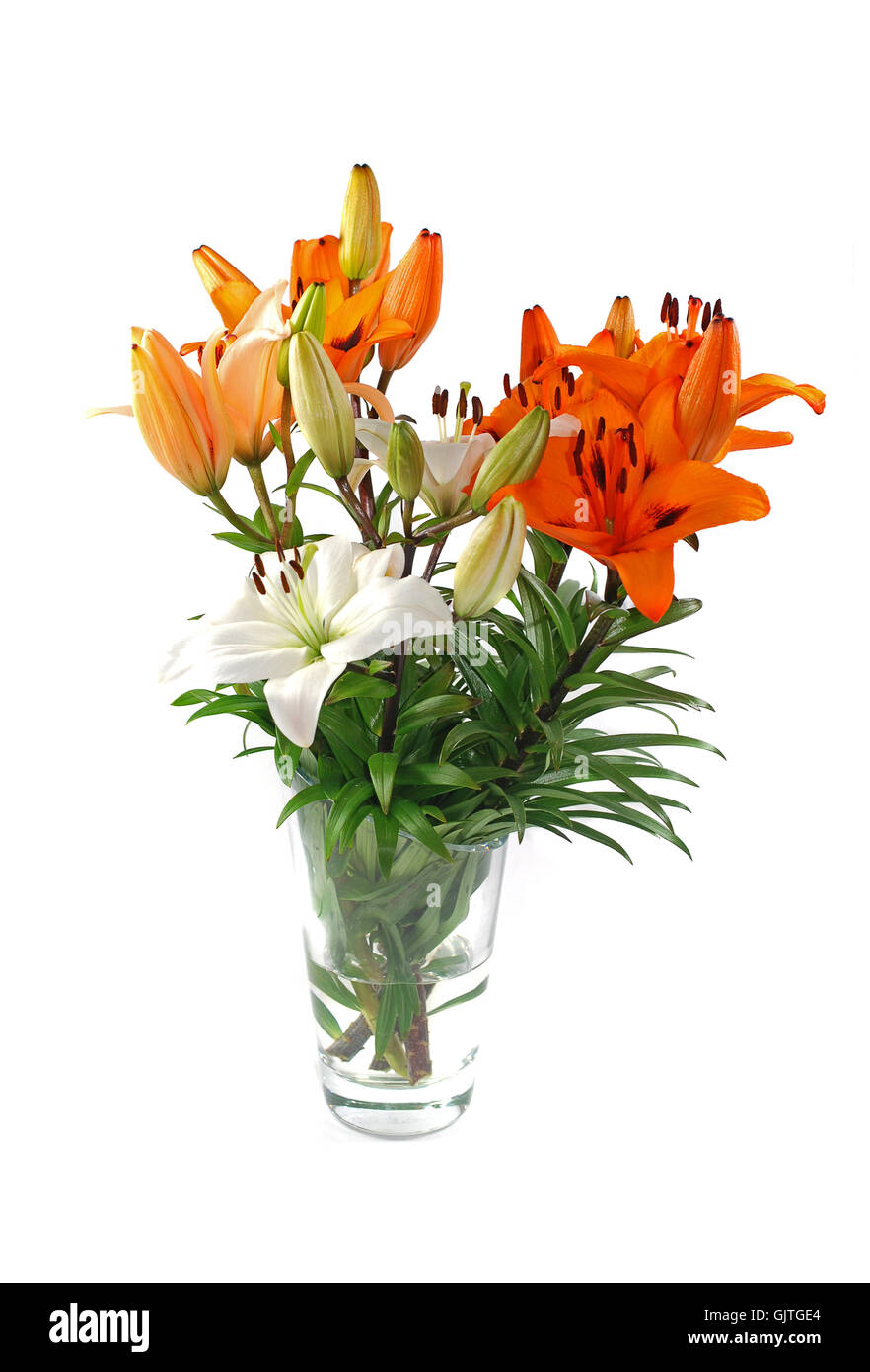 Vase mit Lilien Stockfoto